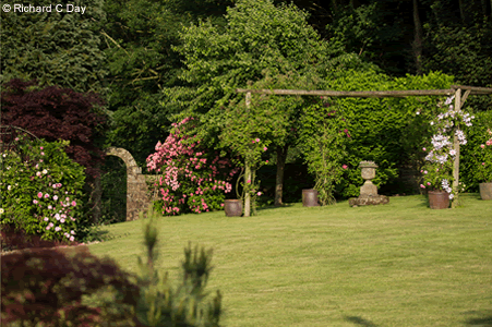 Atmospheric Gardens