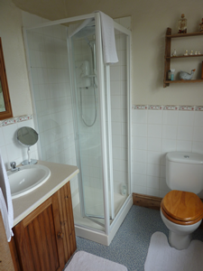 Ensuite Bathroom and Shower